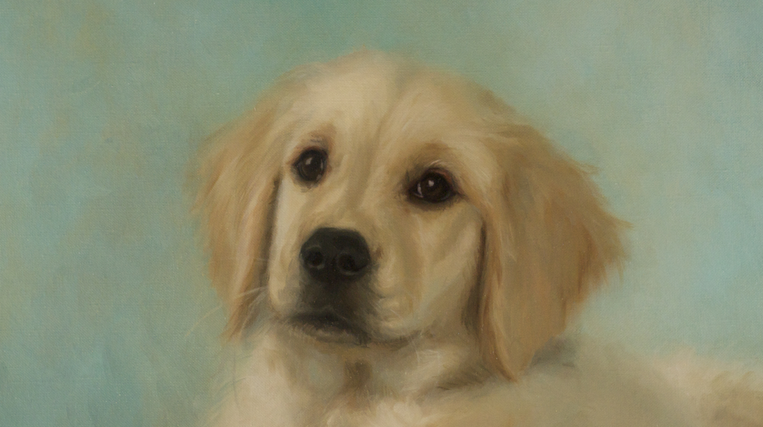 pet portrait oil painting by Atlanta portrait artist Jenny Lyon detail