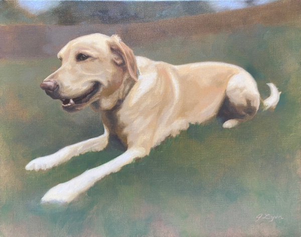 dog oil portrait by Atlanta artist Jenny Lyon